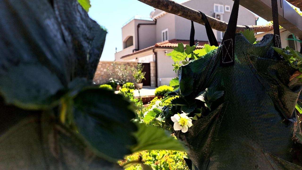 Dubrovnik Airport Apartment Tea Durovici エクステリア 写真